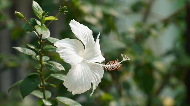 Exotické rostliny v koupelně: Jaké vybrat pro ideální prostředí?