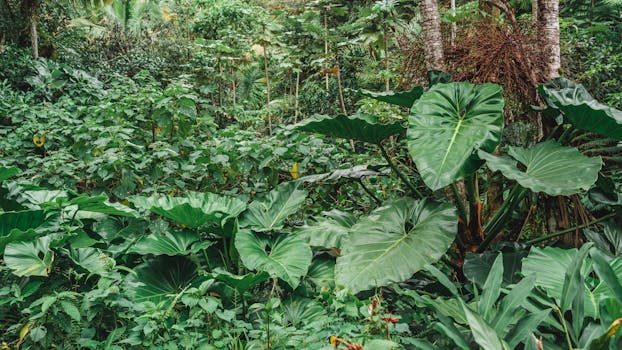 Jak vybrat a pěstovat rostliny pro vlhké prostředí koupelny