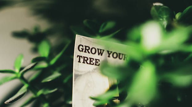 Transformujte svou koupelnu: Ekologické řešení pro domov